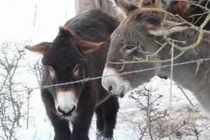 Xtrallusion photo gallery of Italy. Photos, pictures, images and photographs of the Italian Rivieras, the Italian Lakes, the Italian Alps, the Cinque Terre, the Amalfi coast and some of the most beautiful corners of Italy. Plus photos of Italian cities such as Pisa, Milan, Genoa and Rome.